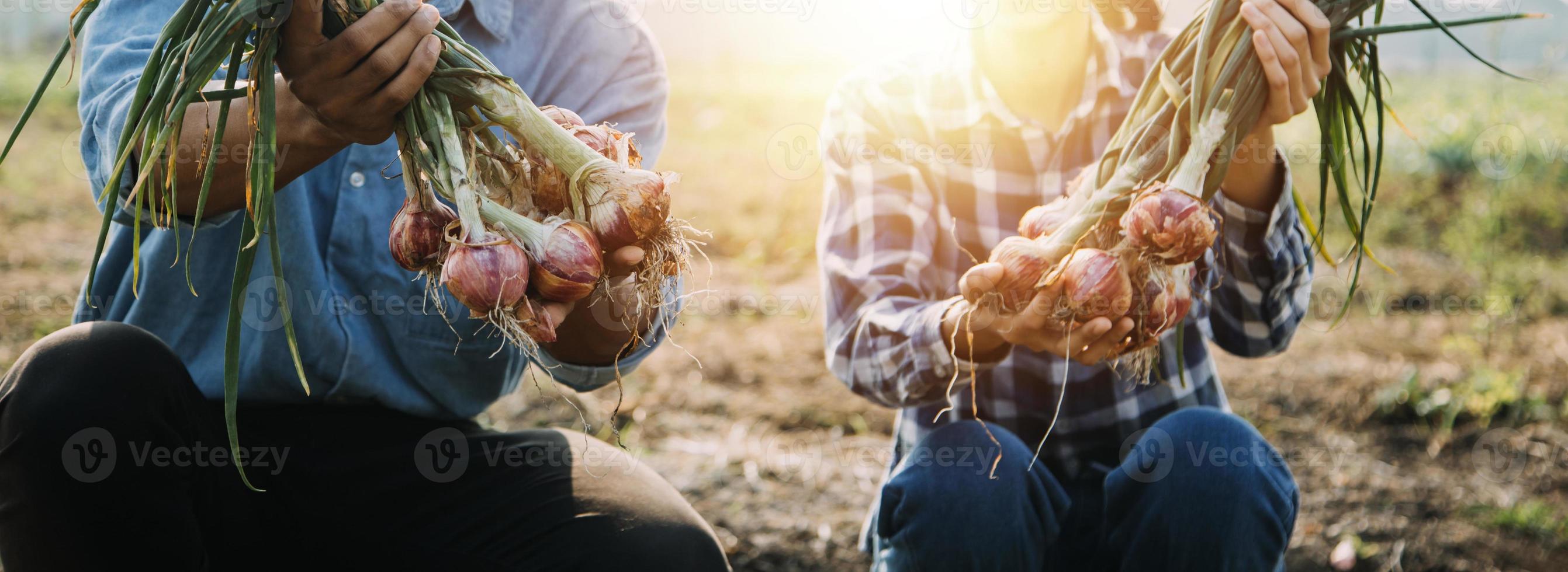 Asian woman and man farmer working together in organic hydroponic salad vegetable farm. using tablet inspect quality of lettuce in greenhouse garden. Smart farming photo