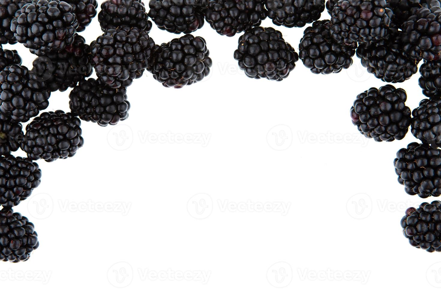 Blackberry isolated on white background photo