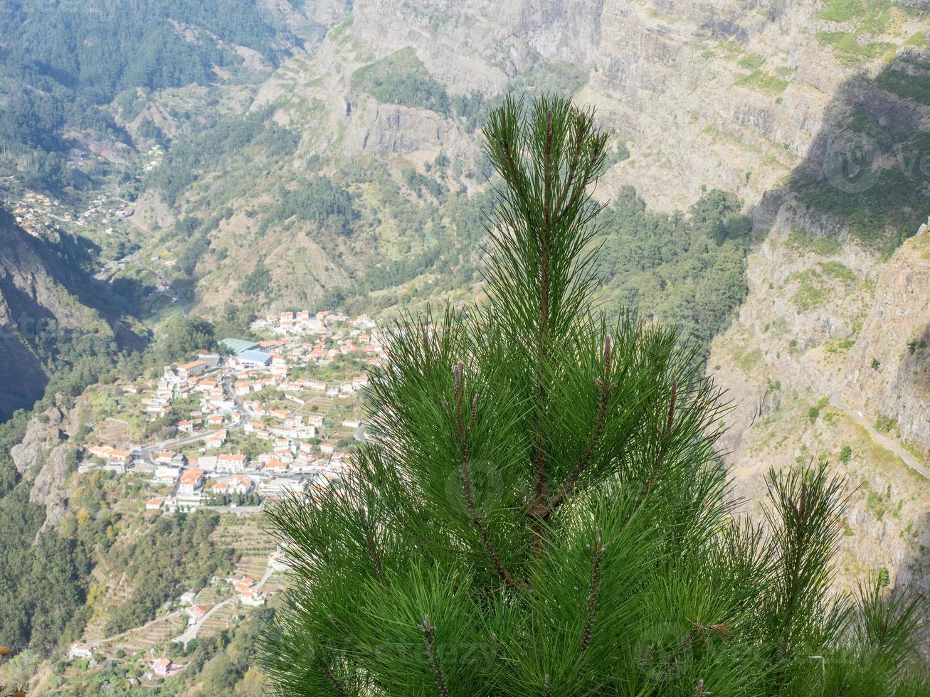 the island of madeira photo