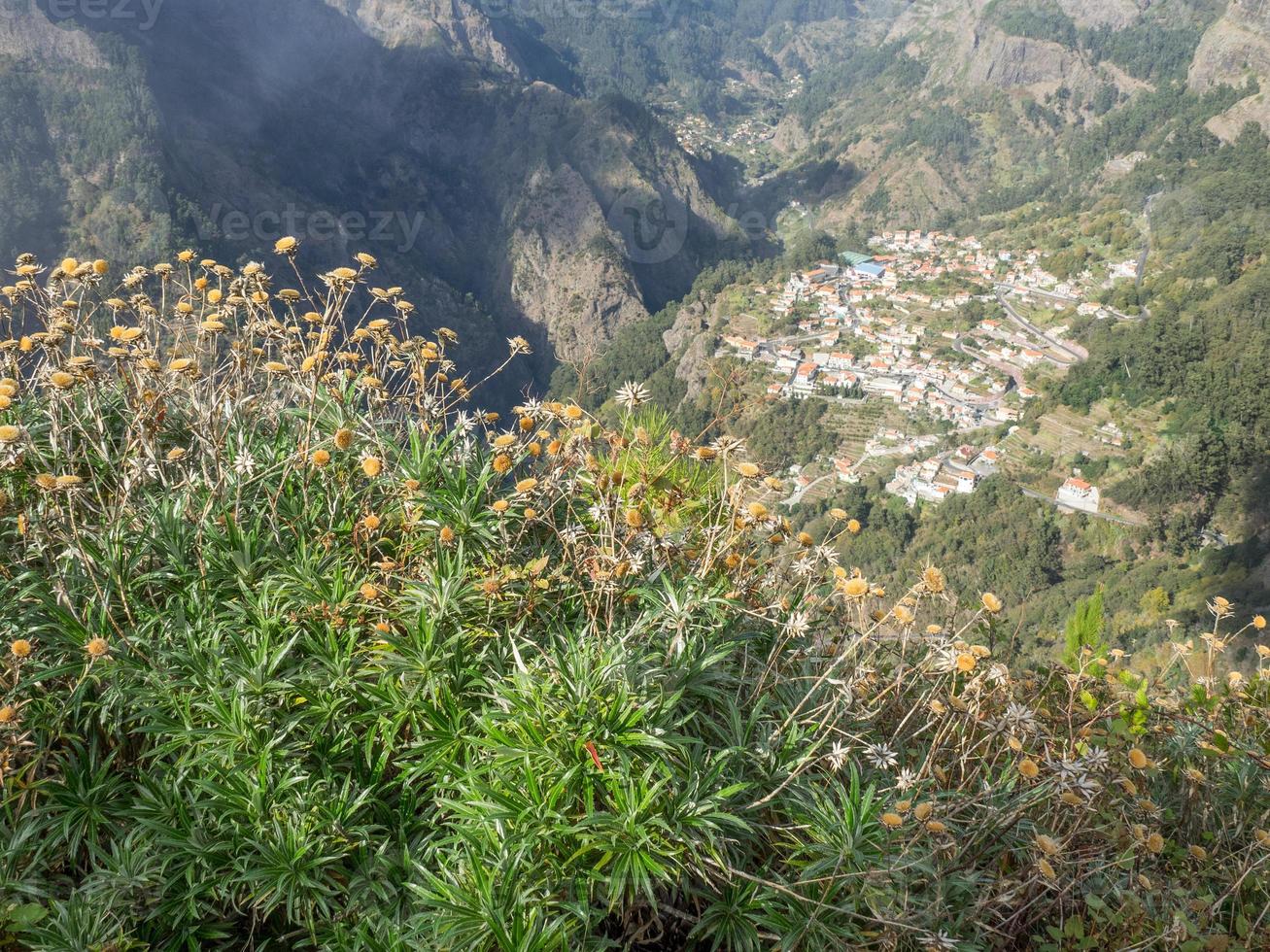 the island of madeira photo