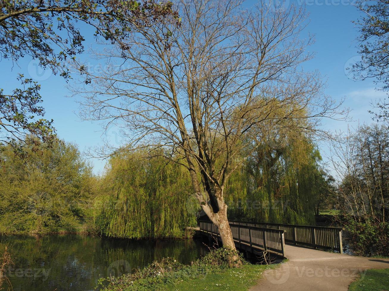 lake in the german munsterland photo
