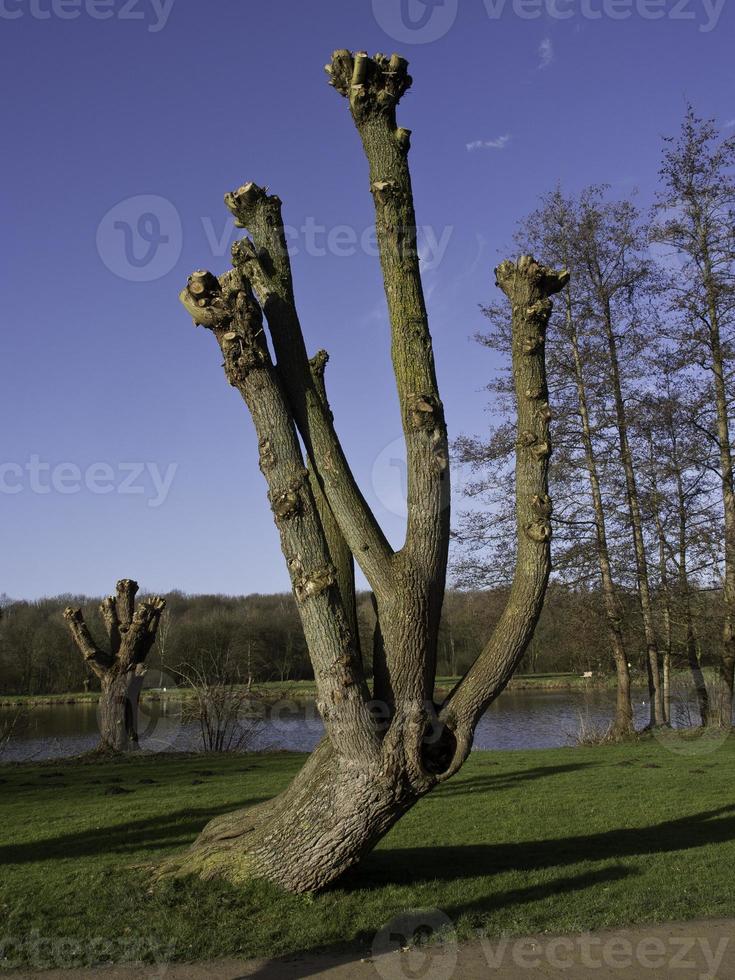 lago en el alemán Munsterland foto