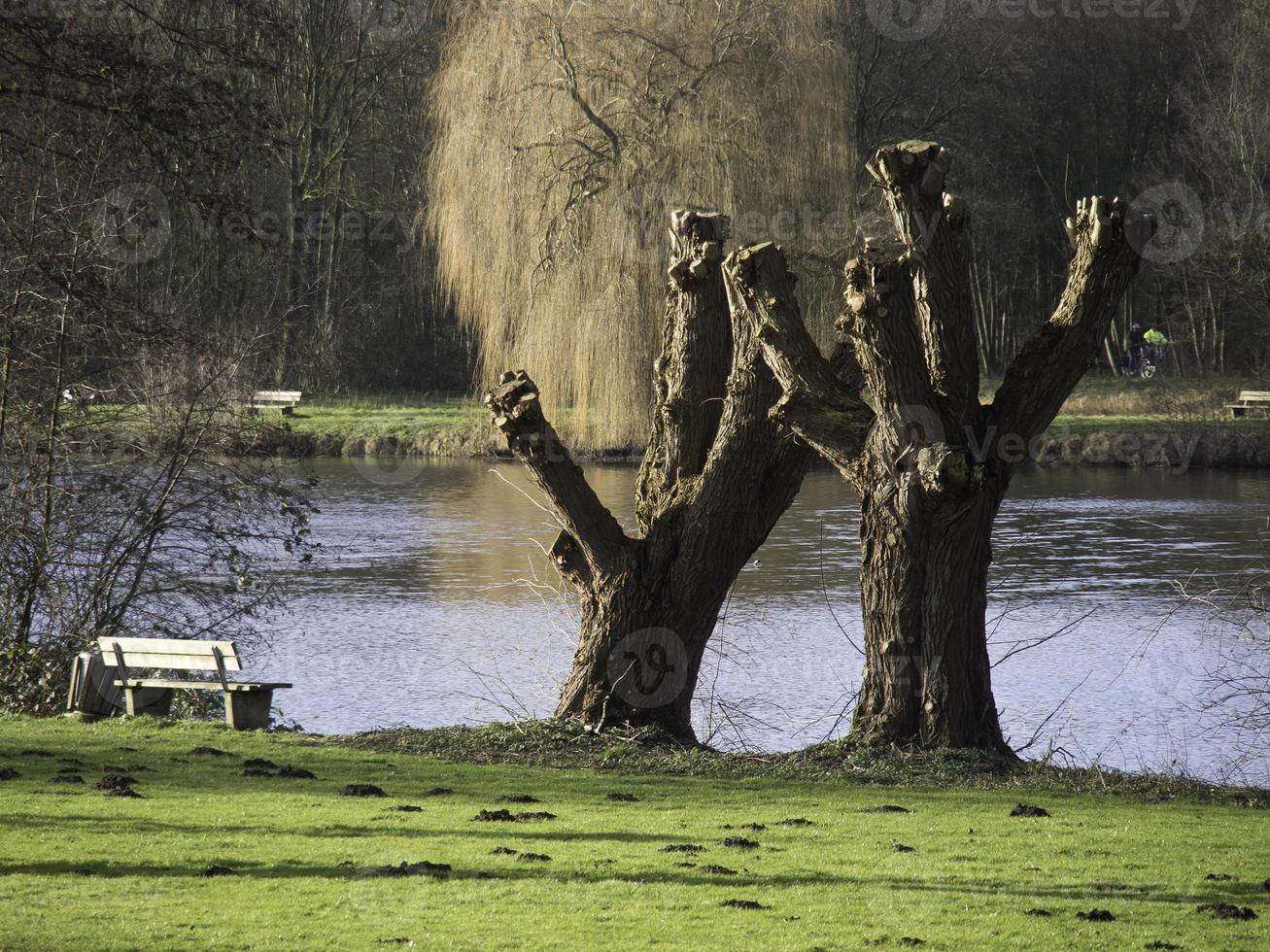 lago en el alemán Munsterland foto