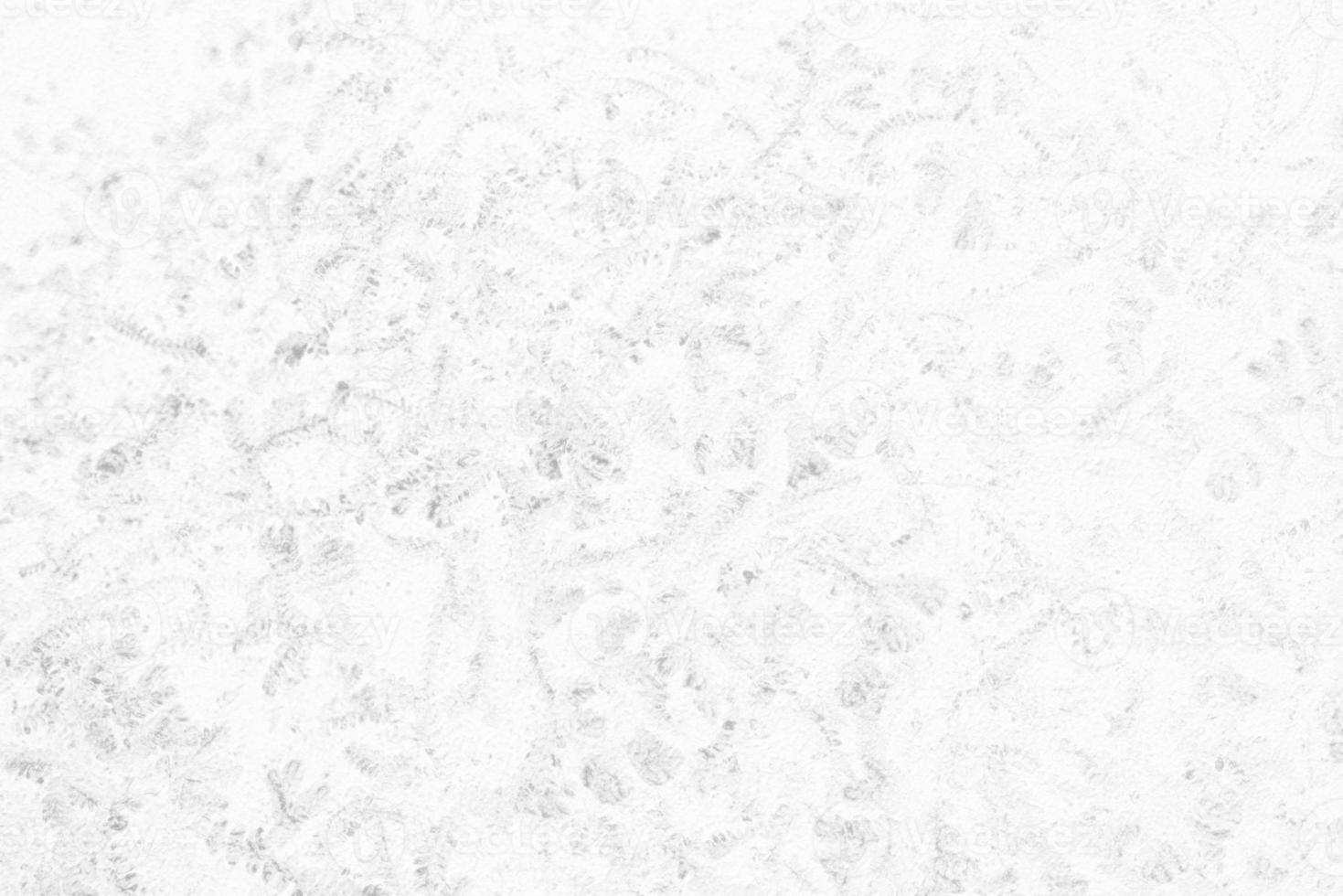 White Leaves Plant in Fossil Style on Concrete Wall Texture Background. photo