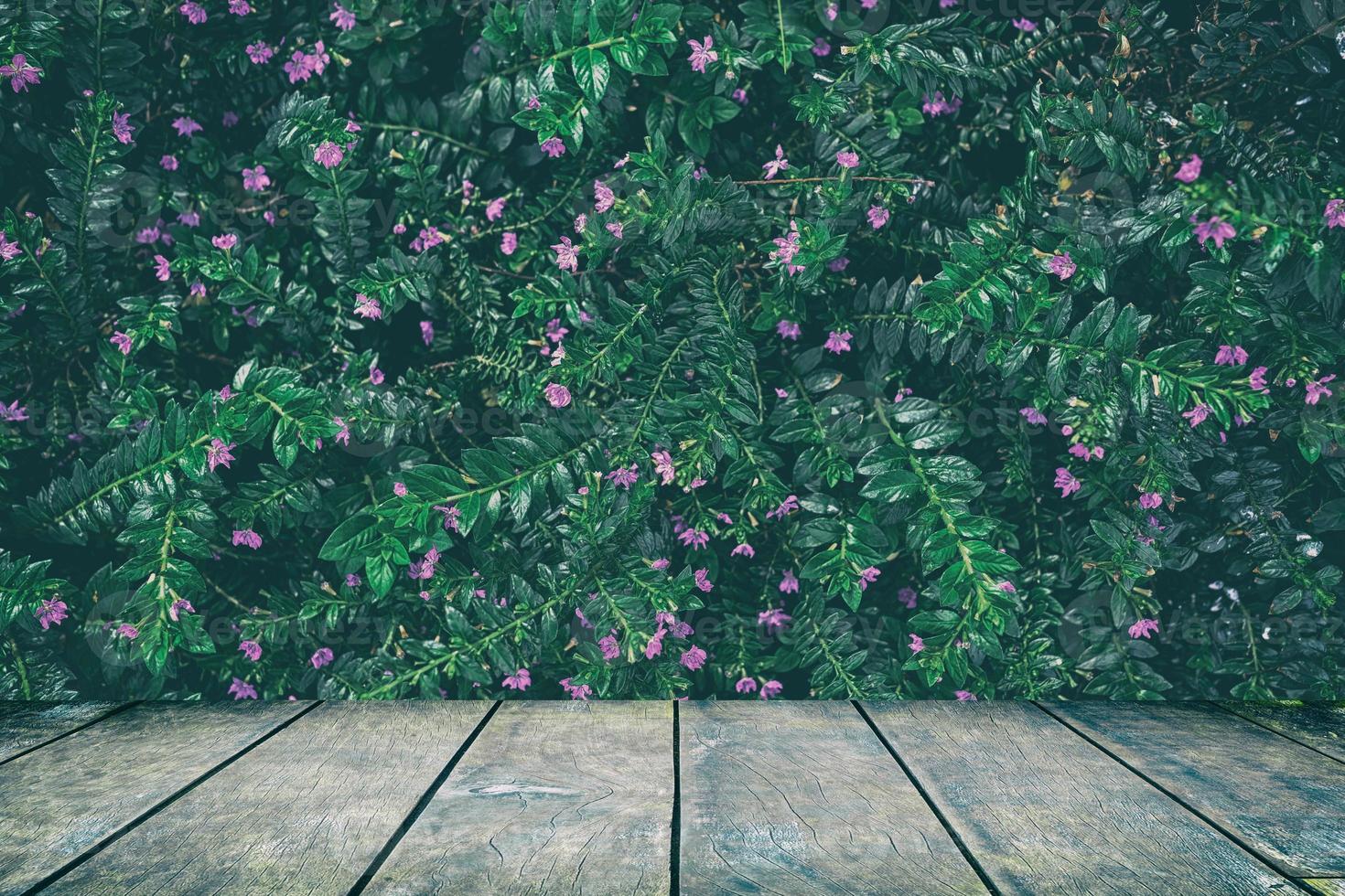 Wood Table with Tropical Leaves Texture in Dark Contrast Background., Suitable for Product Display and Natural Concept. photo