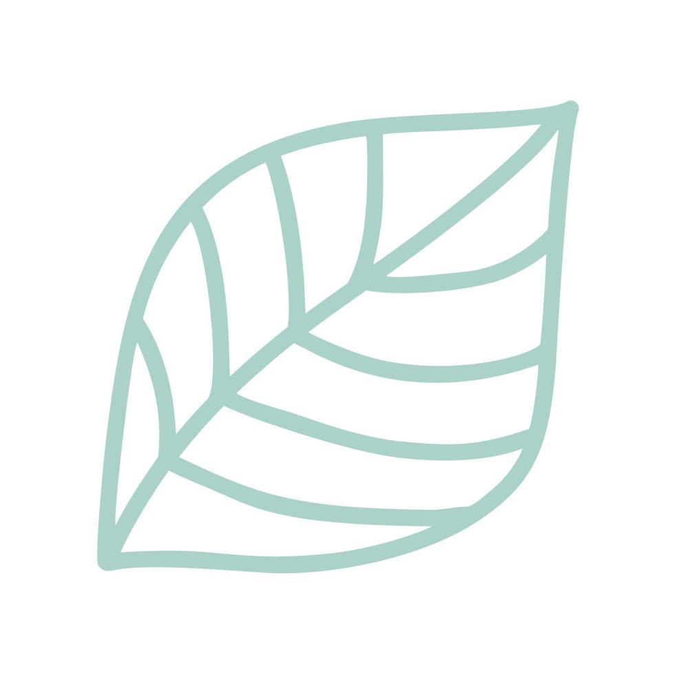 Spring Leaf Outline Vector line Icon. Doodle Spring Concept Minimal Style Illustration for kids book design or web. Element of tree logo