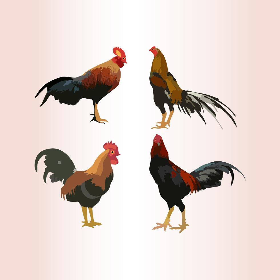 Rooster and cock. design style vector illustrations set of icons and logos