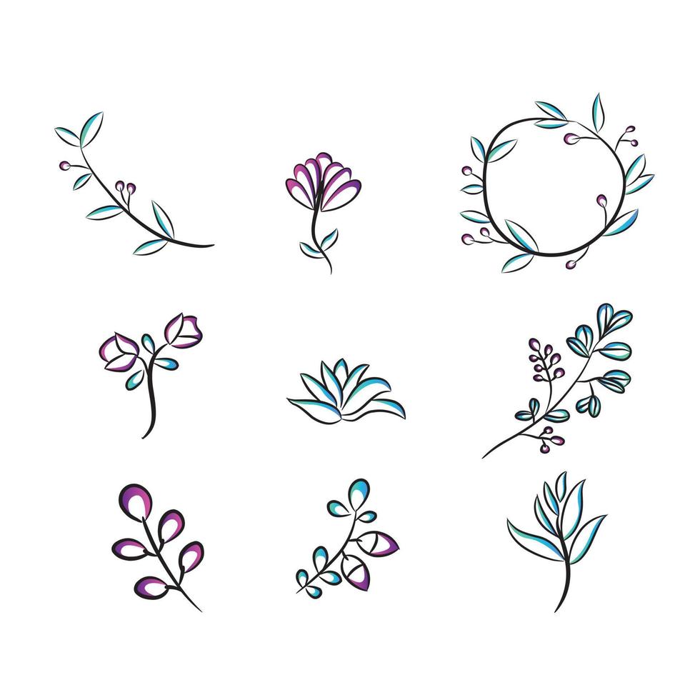 Herbs and Wild Flowers. Botany. Set. Vintage flowers. Black and white illustration in the style of engravings. vector
