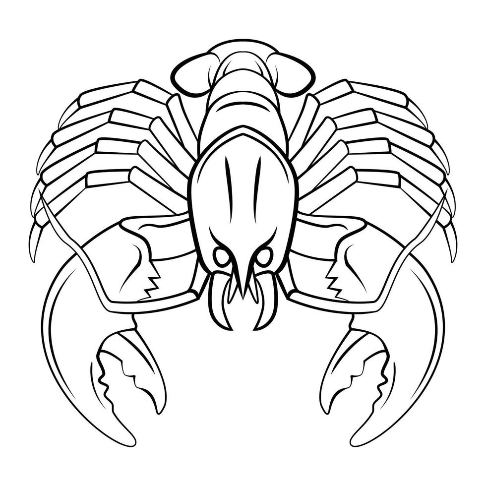 Big Lobster illustration on white background vector