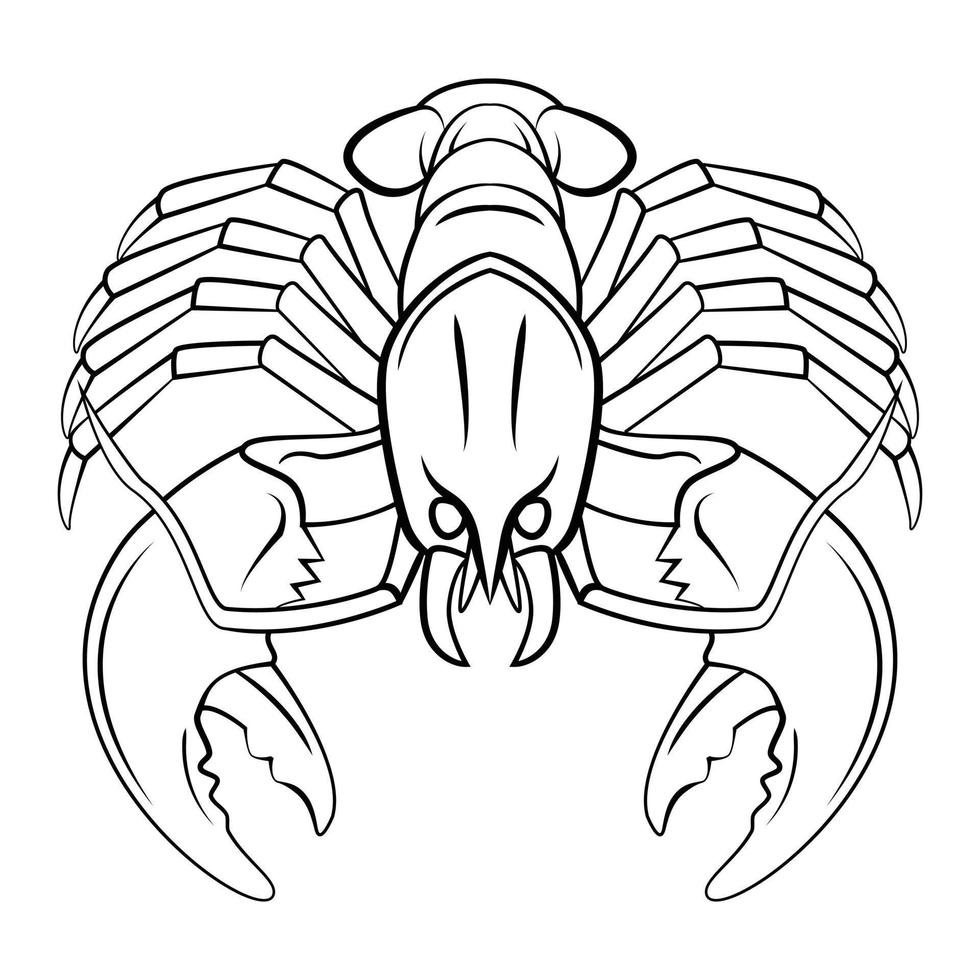 Big Lobster illustration on white background vector