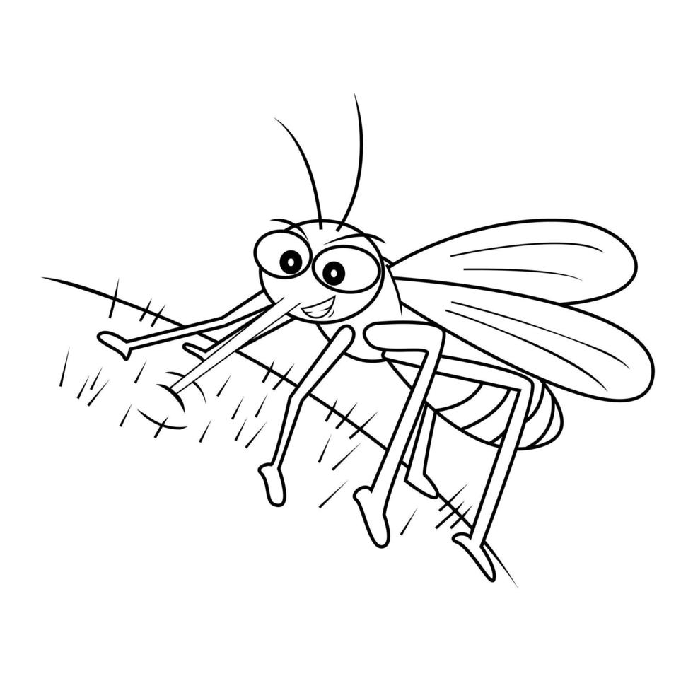 Mosquito Illustration on white background vector