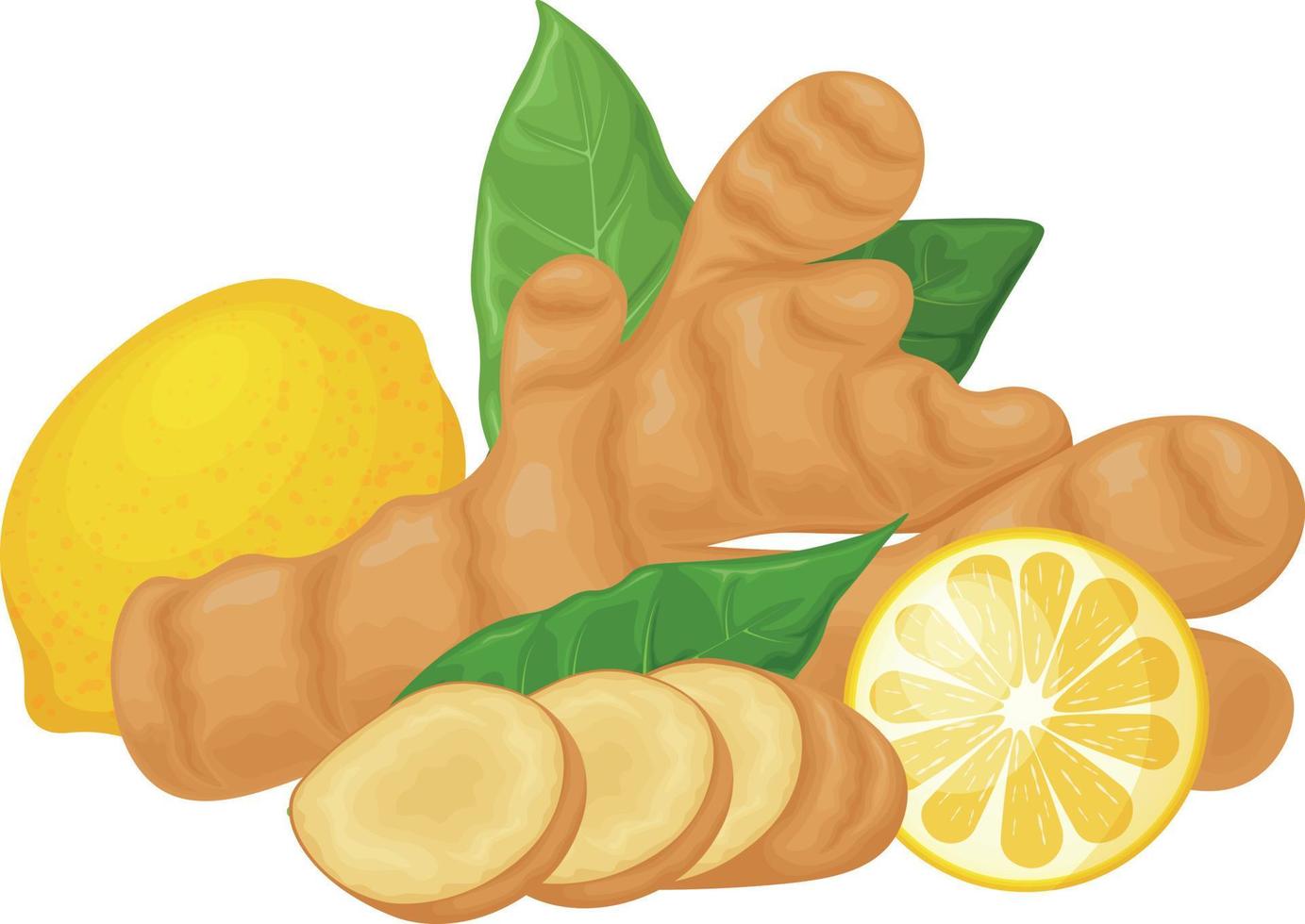 Ginger. Vector image of ginger with lemon and leaves. Medicinal plant in cartoon style. Isolated on a white background