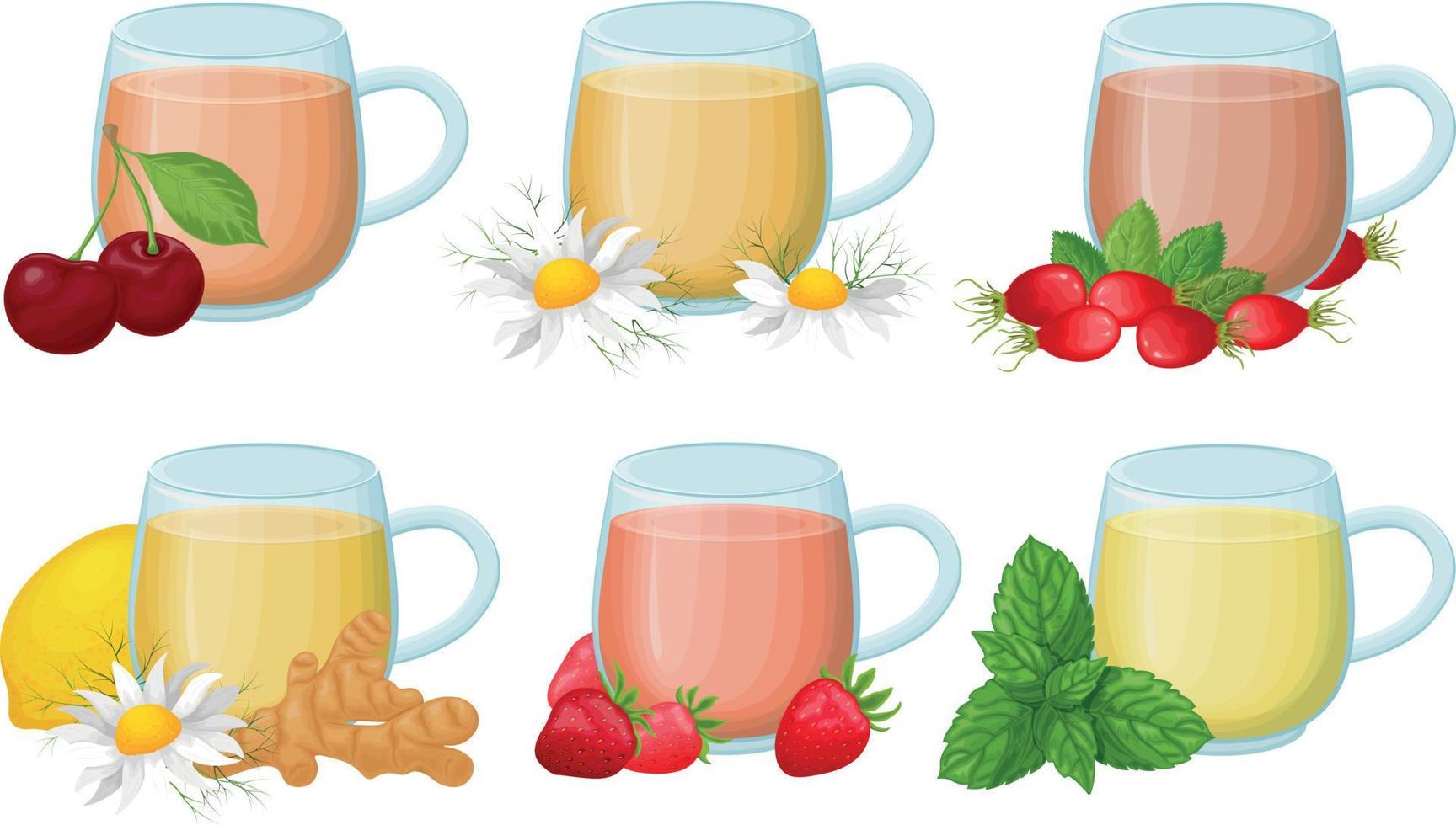 Cups of tea. Glass cups with tea. Fruit and medicinal teas. Hot drinks with cherries, chamomile, ginger, strawberries and also with rosehip and mint. Vector illustration