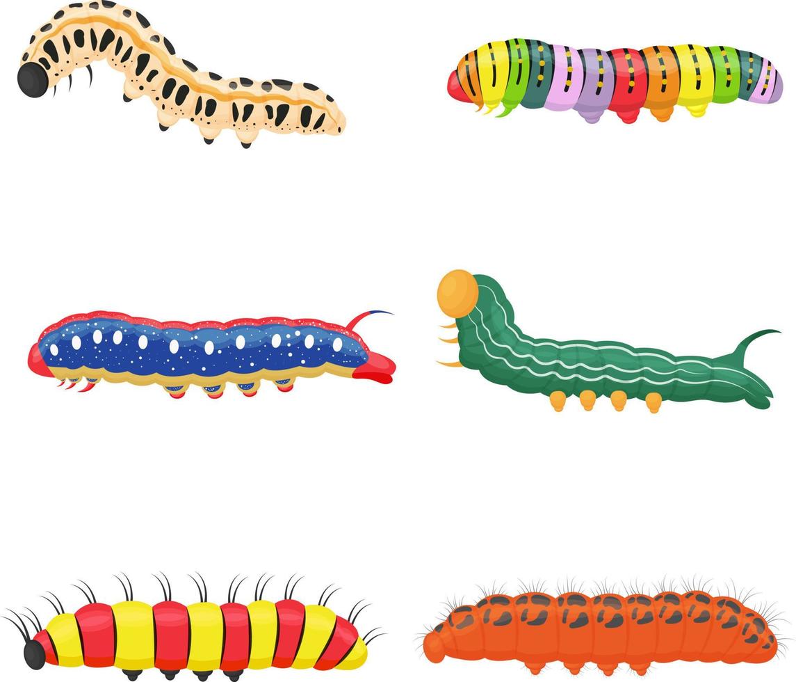 A bright colored set of different insect caterpillars. Different larvae of butterflies and beetles.Each object is isolated. Vector illustration on a white background.