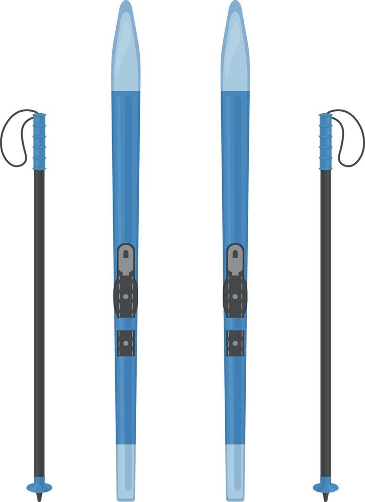 Sports cross-country skis and ski poles. Skis for snow walks and competitions. Sports equipment vector illustration isolated on a white background