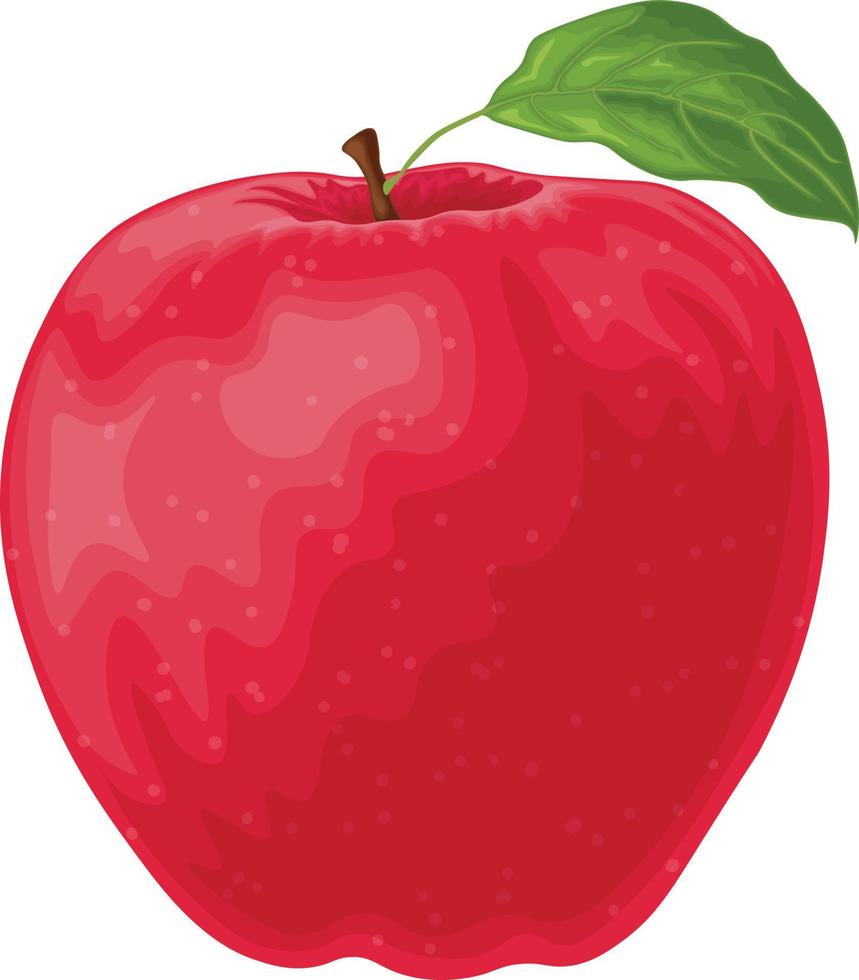 manzana. rojo maduro manzana. el manzana es rojo con un verde hoja. maduro dulce fruta. jardín fruta. vector ilustración aislado en un blanco antecedentes.