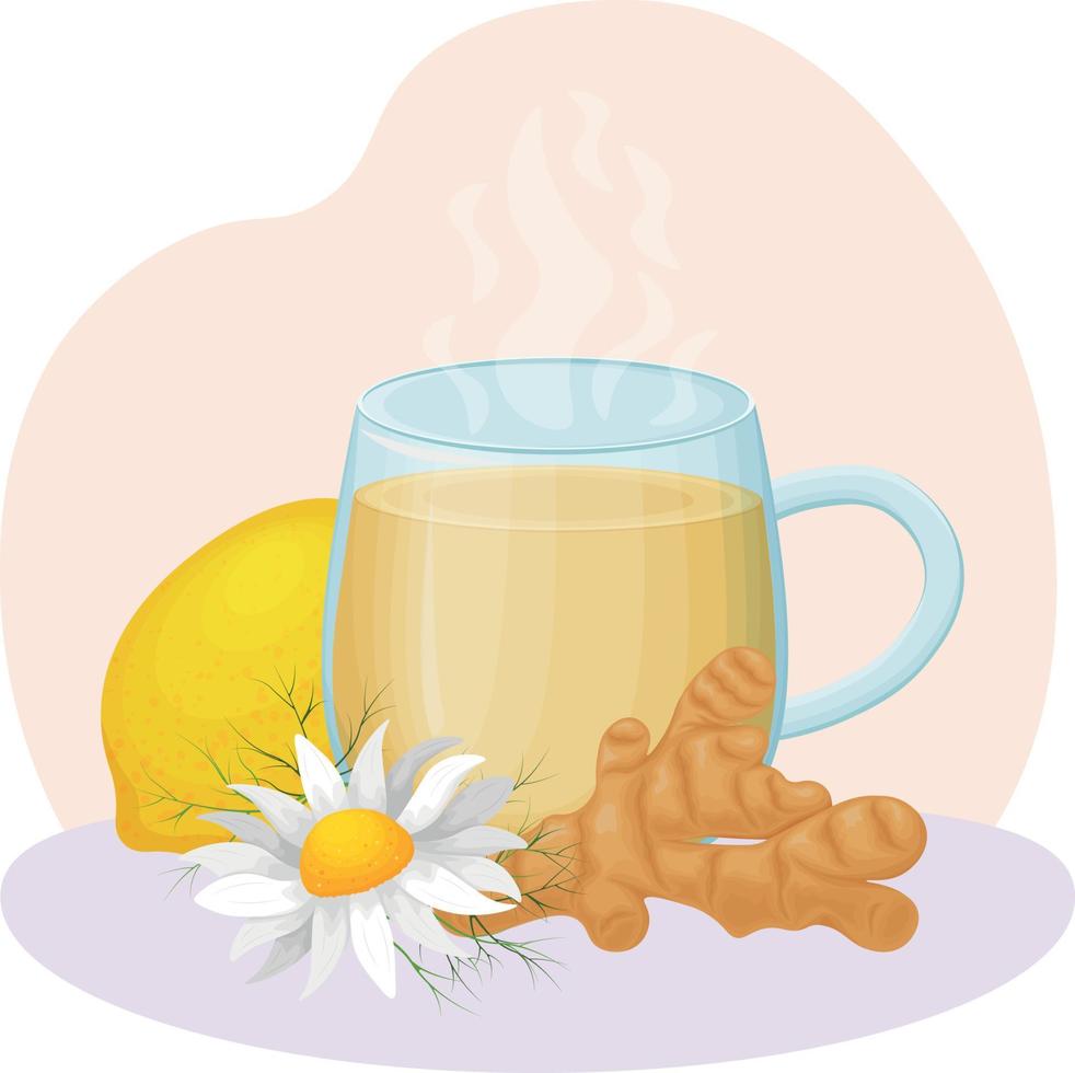 Tea with lemon and ginger. A hot cup of tea with chamomile. Medicinal decoction in a glass. Vector illustration