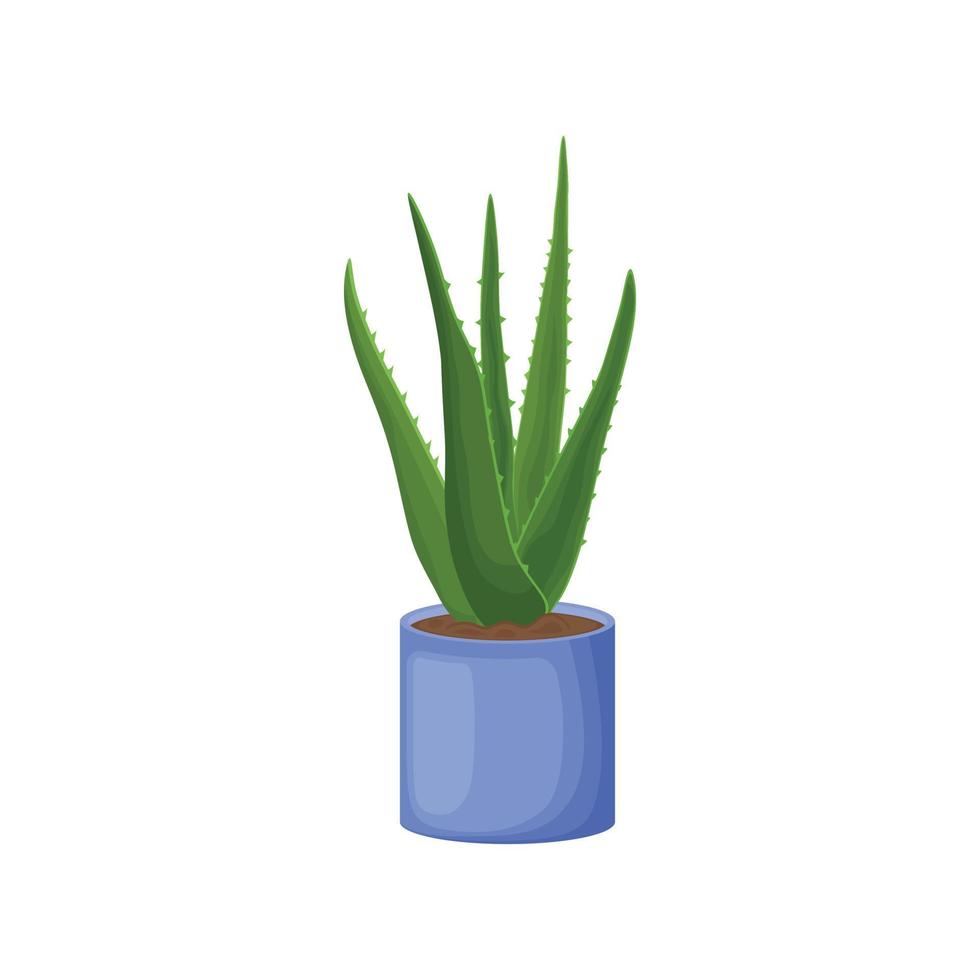Aloe vera in cartoon style is a medicinal plant of aloe in a pot. Indoor aloe plant in a blue pot. Vector illustration isolated on a white background