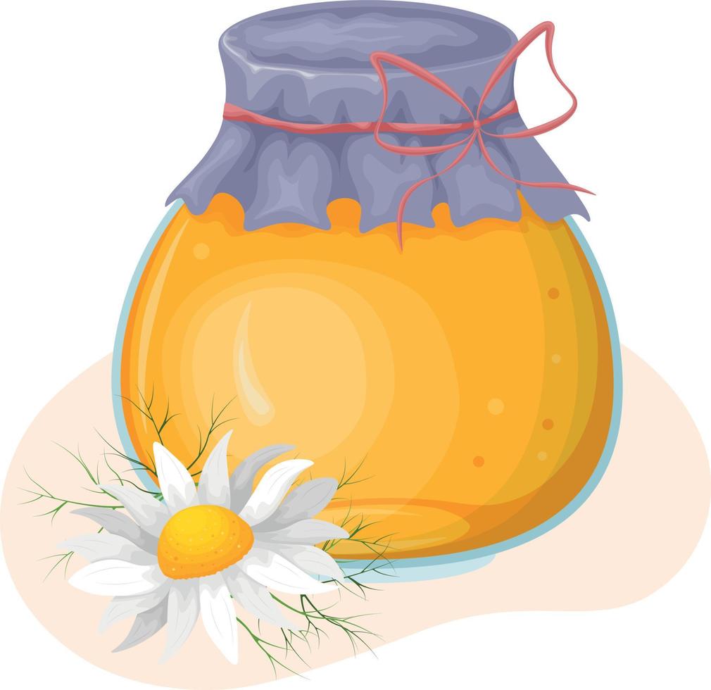 A jar of honey. A glass jar with sweet honey. Bee honey in a jar and a chamomile flower. Vector illustration isolated on a white background