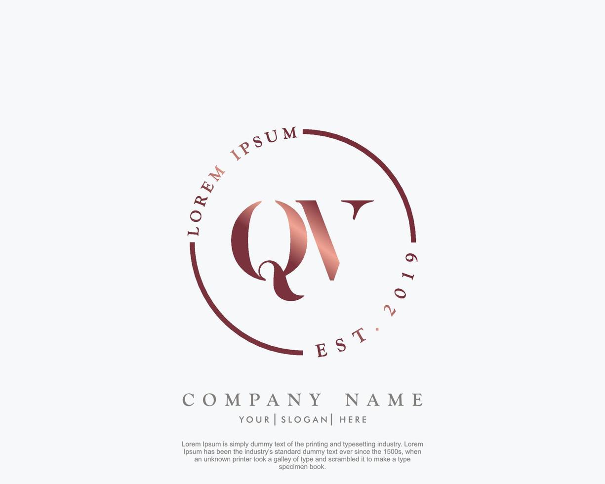 Initial letter QV Feminine logo beauty monogram and elegant logo design, handwriting logo of initial signature, wedding, fashion, floral and botanical with creative template vector