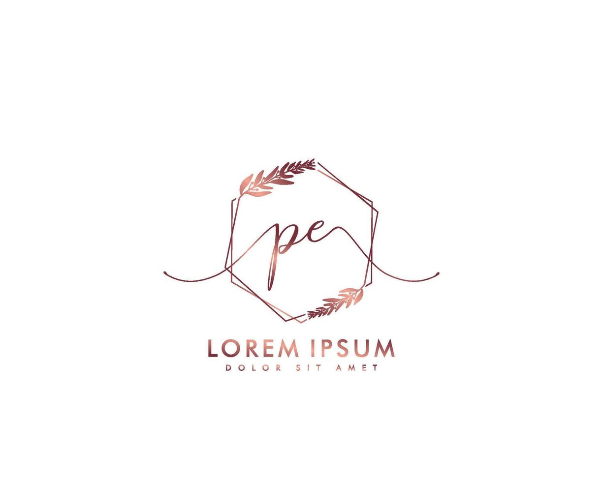 Initial letter PE Feminine logo beauty monogram and elegant logo design, handwriting logo of initial signature, wedding, fashion, floral and botanical with creative template vector