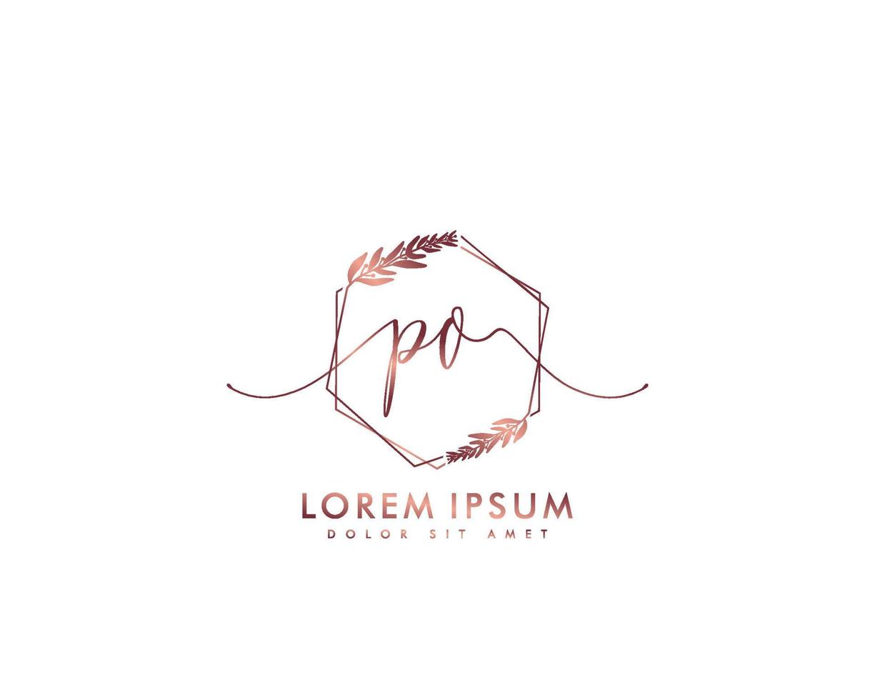 Initial letter PO Feminine logo beauty monogram and elegant logo design, handwriting logo of initial signature, wedding, fashion, floral and botanical with creative template vector