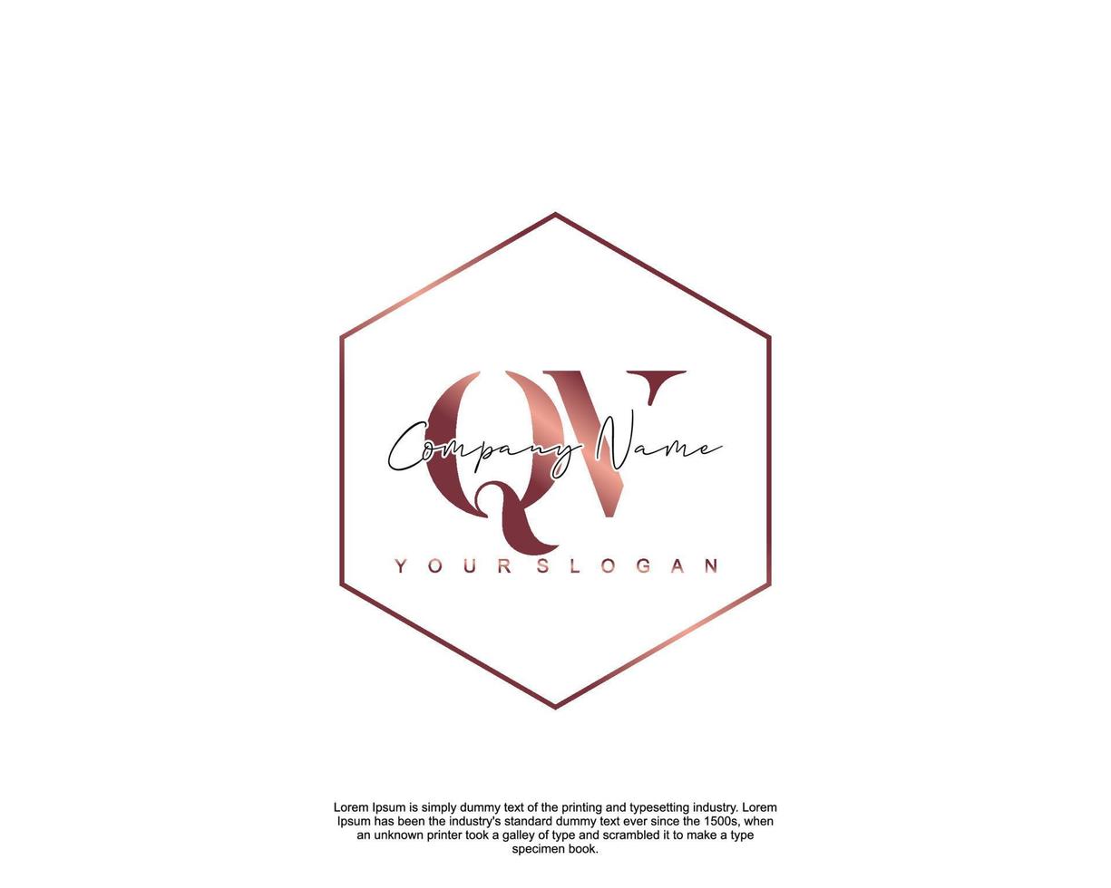 Initial letter QV Feminine logo beauty monogram and elegant logo design, handwriting logo of initial signature, wedding, fashion, floral and botanical with creative template vector