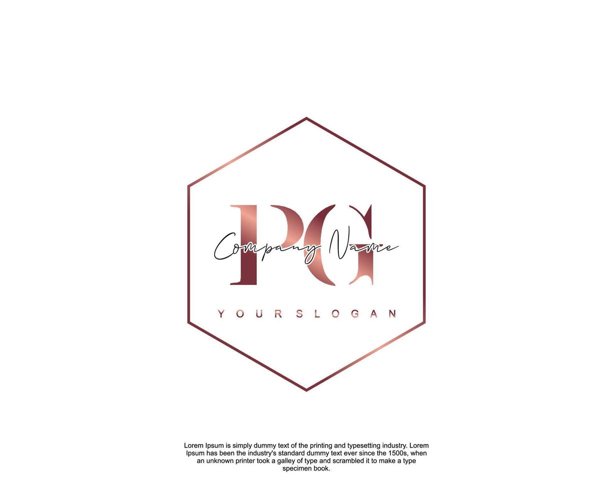 Initial letter PG Feminine logo beauty monogram and elegant logo design, handwriting logo of initial signature, wedding, fashion, floral and botanical with creative template vector