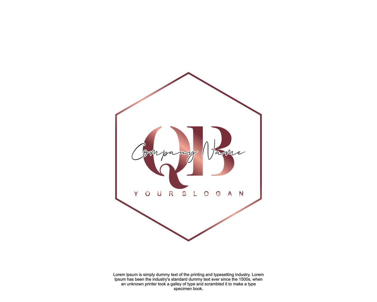 Initial letter QB Feminine logo beauty monogram and elegant logo design, handwriting logo of initial signature, wedding, fashion, floral and botanical with creative template vector