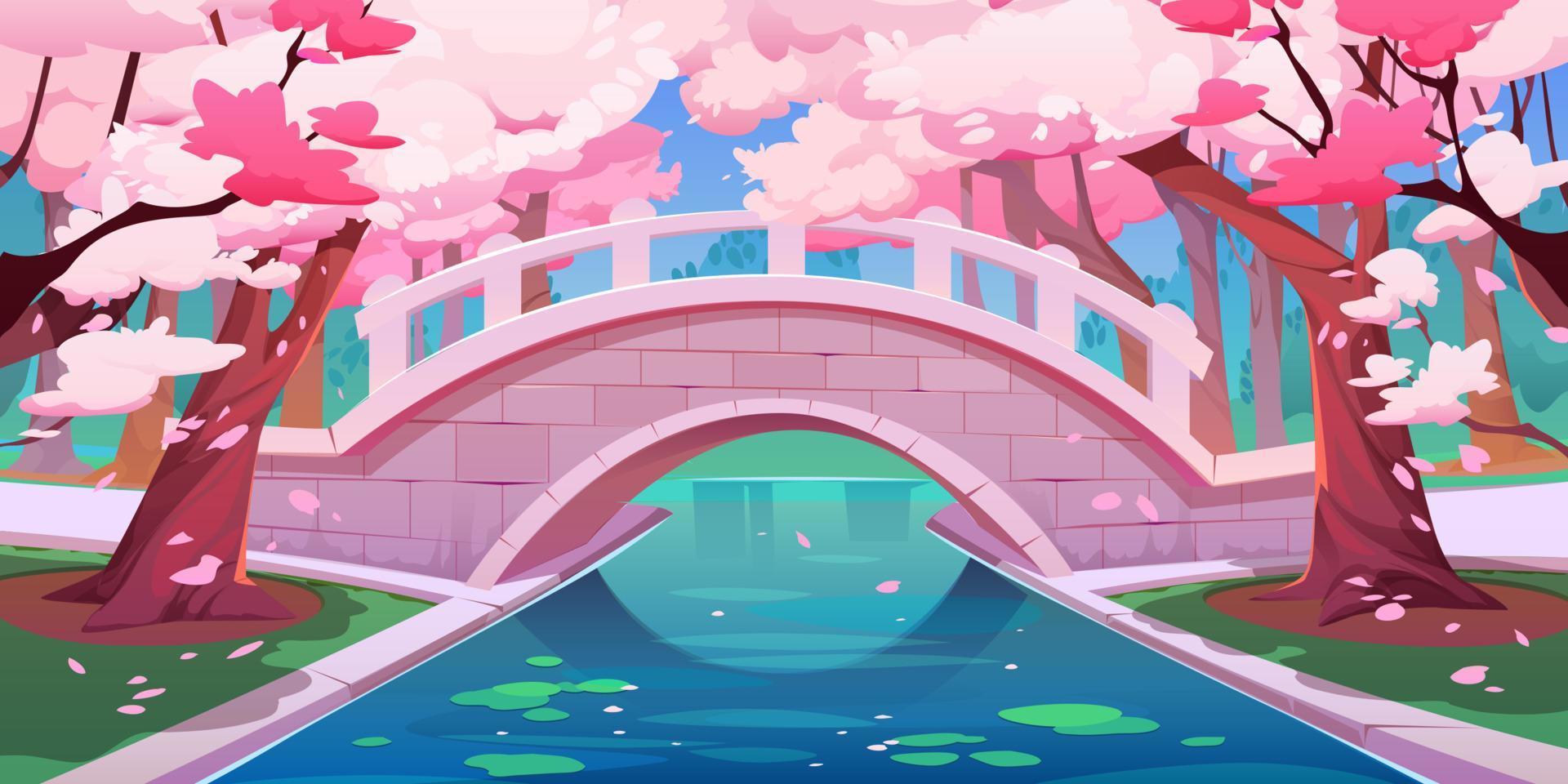 Japanese cherry garden, bridge and sakura blossom vector