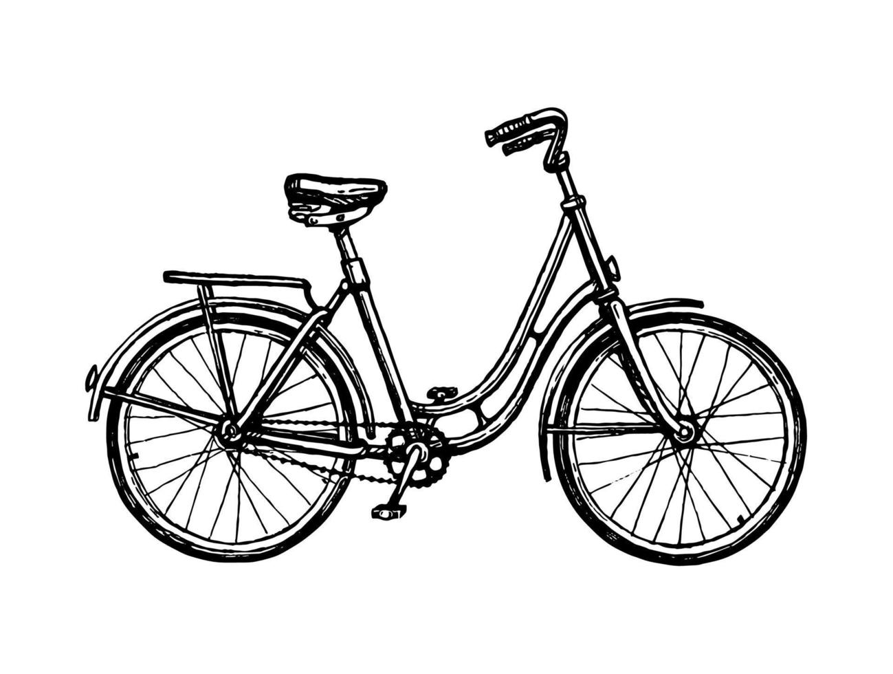 Clásico bicicleta. tinta bosquejo aislado en blanco antecedentes. mano dibujado vector ilustración. retro estilo.