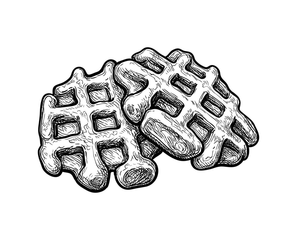 Ink sketch of waffles isolated on white background. Hand drawn vector illustration. Retro style.