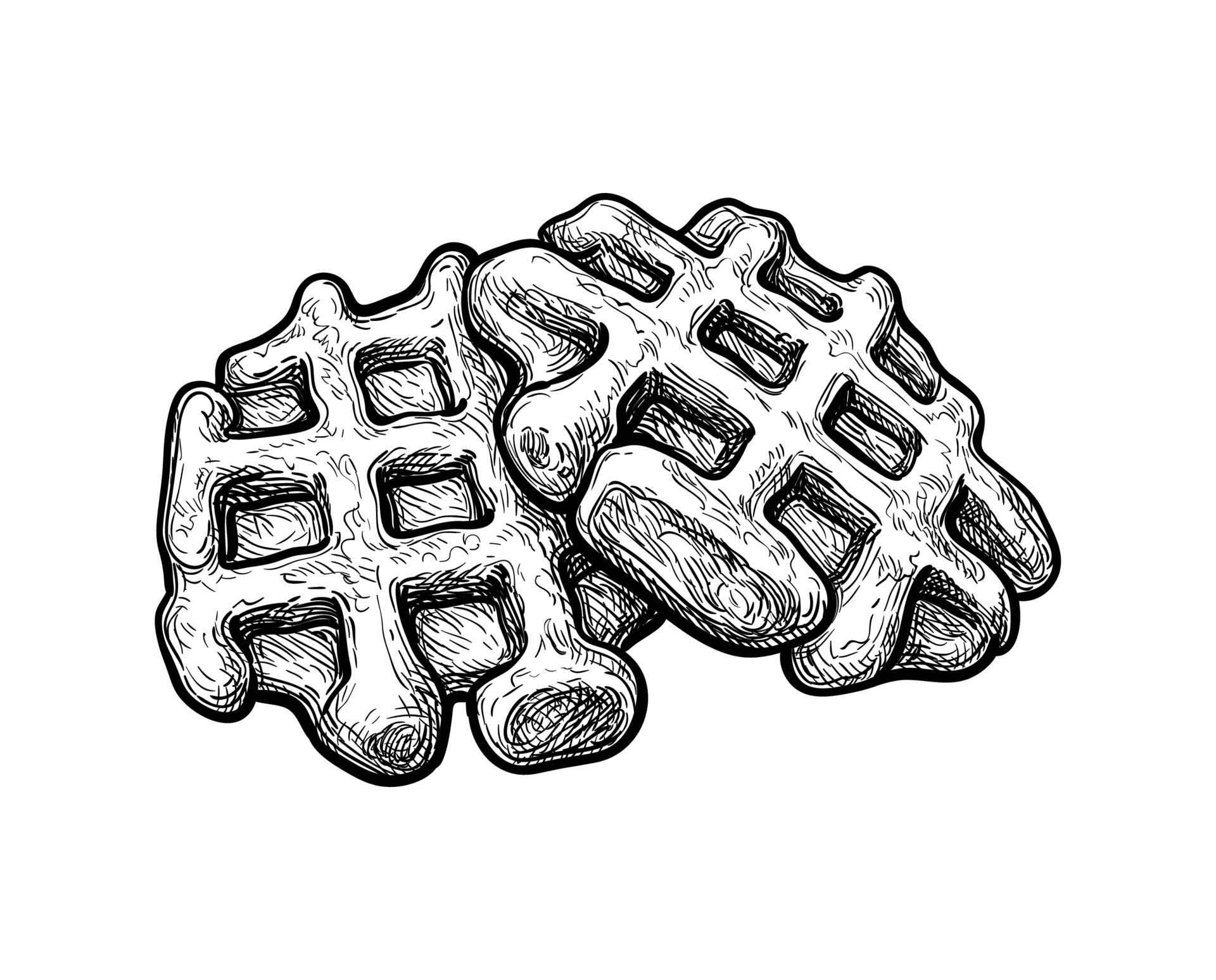 Ink sketch of waffles isolated on white background. Hand drawn vector