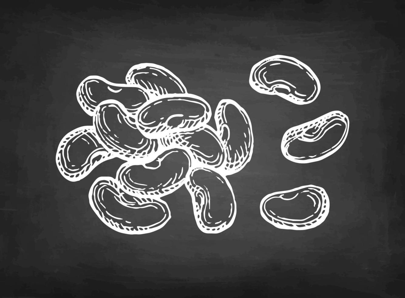 Handful of beans. Chalk sketch on blackboard background. Hand drawn vector illustration. Retro style.