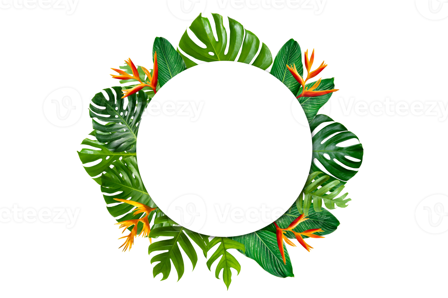 tropisch Wald mit Blätter und Blumen Umgebung ein Weiß Kreis Rahmen isoliert auf transparent Hintergrund png Datei