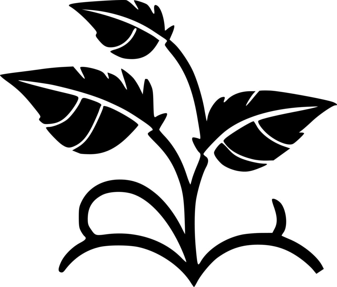 vector illustration of ivy shape