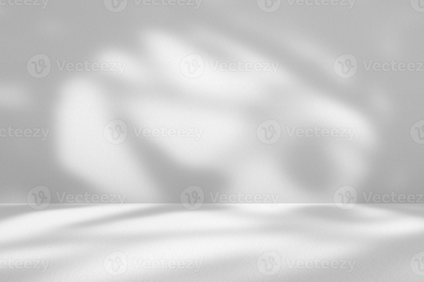 White Room with Tree Branch Shadow on Concrete Wall Texture Background, Suitable for Product Presentation Backdrop, Display, and Mock up. photo