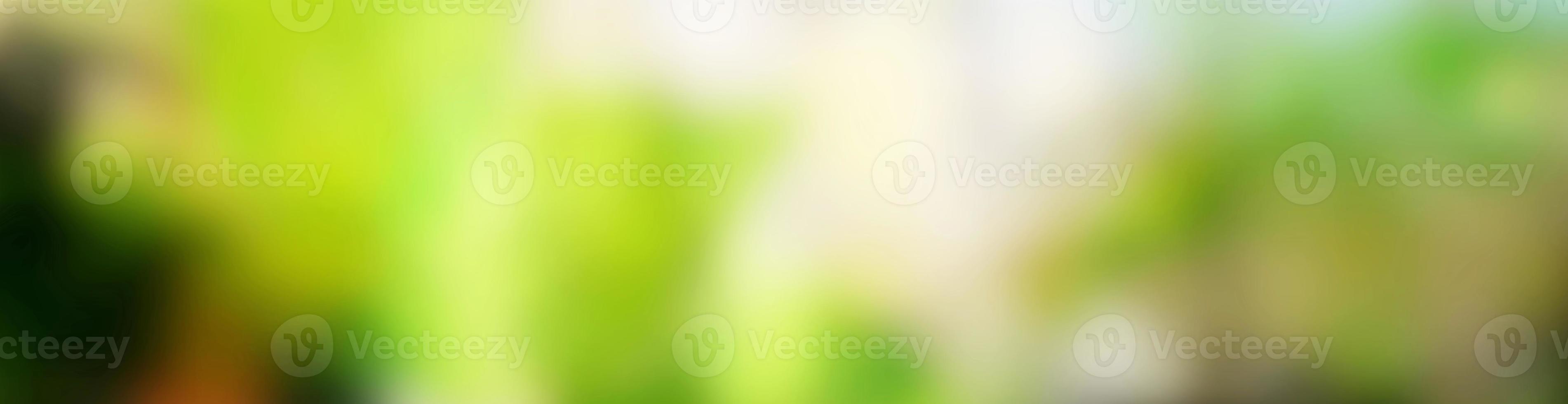 Blurred Leaves with Beautiful Bokeh Background, Suitable for Billboard Header Banner Website. photo