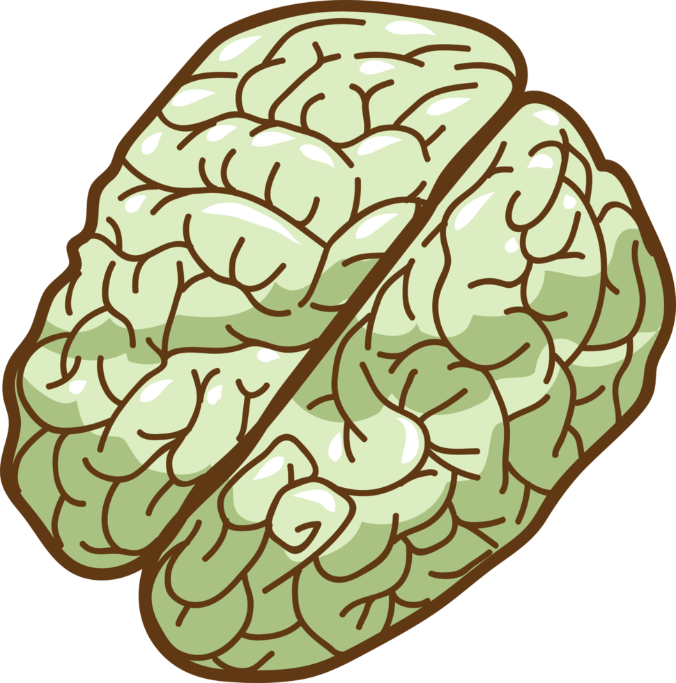 Brain png graphic clipart design