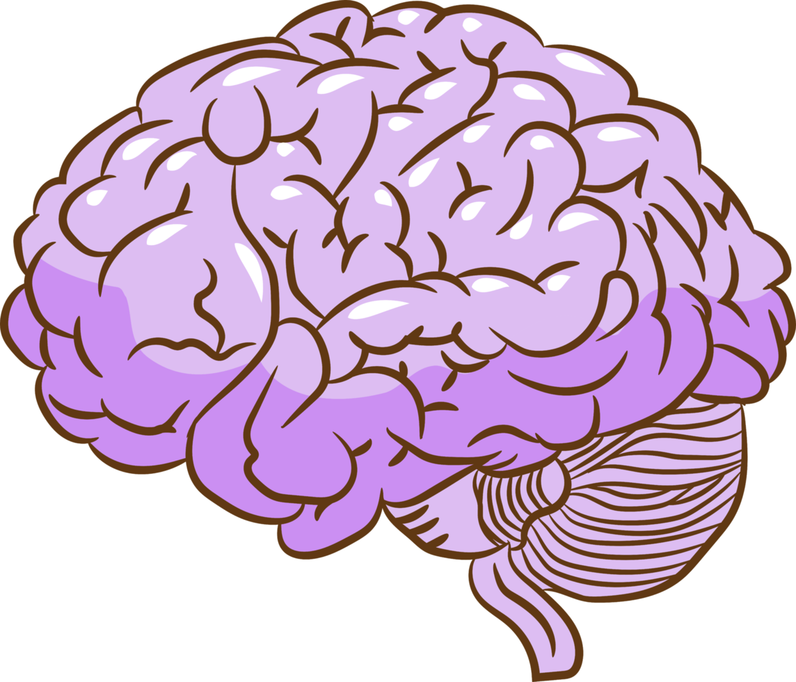 Brain png graphic clipart design