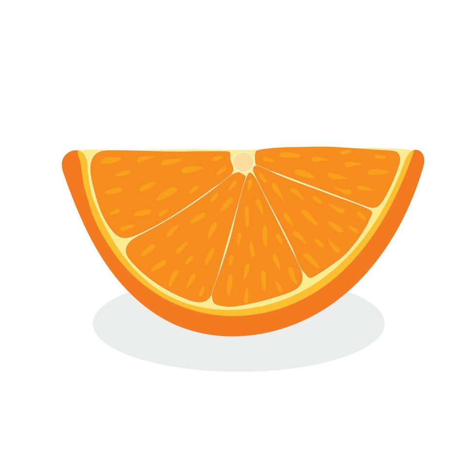 Orange, cut orange vector on white background