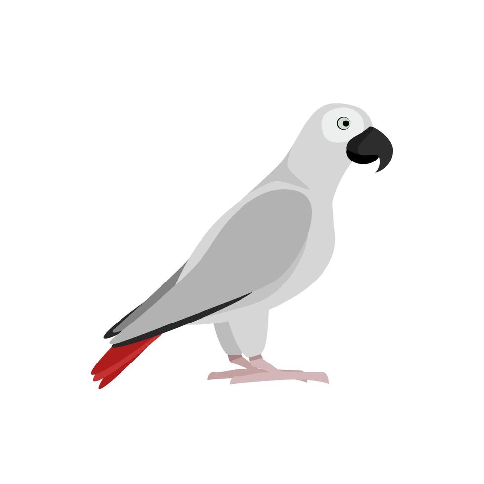 Gray Parrot Vector Art, Icons, and Graphics for Free Download