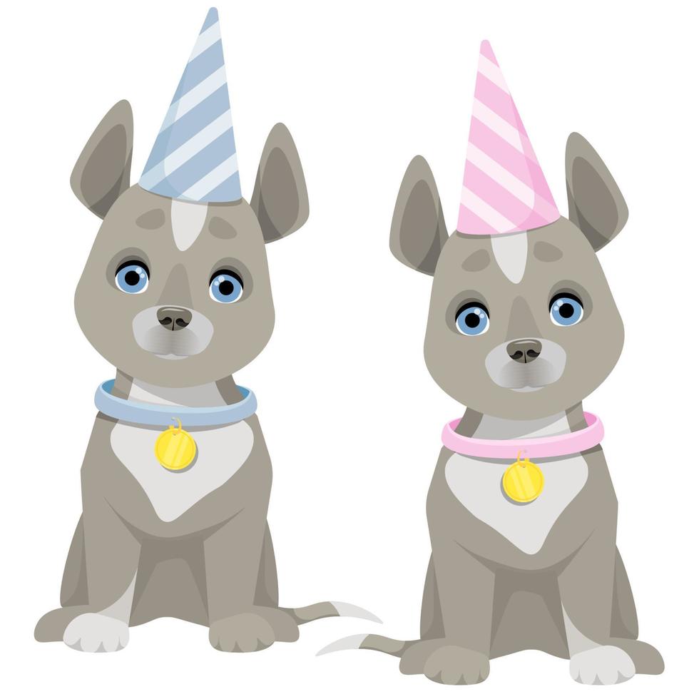 conjunto de dos gris perros con diferente a rayas cumpleaños sombreros vector