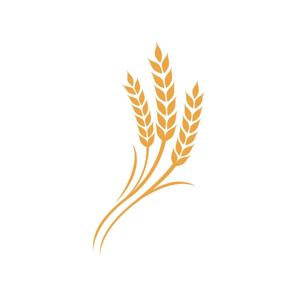 Wheat rice agriculture logo vector