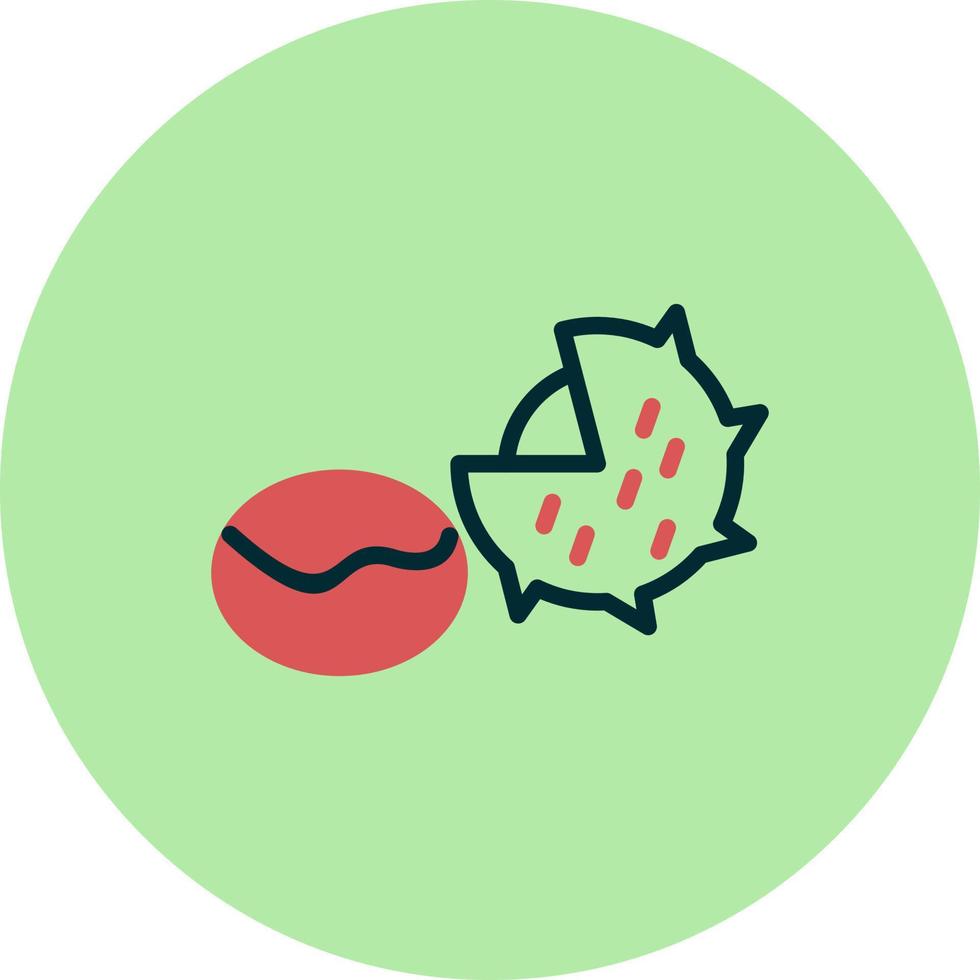 Chestnut Vector Icon