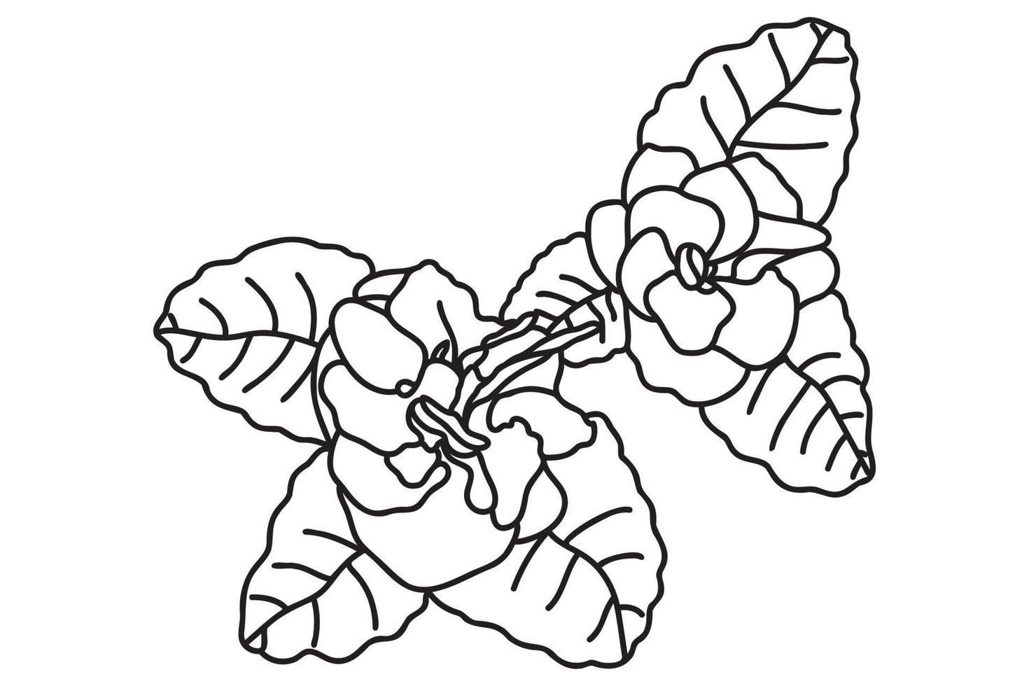 violets is drawn with a black outline, it is intended for cards, tattoos, fabric and clothes printing, coloring, labels, Valentine, March 8 and you can use it in different cases. vector