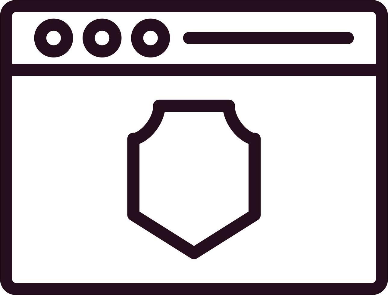 Website Encryption Vector Icon