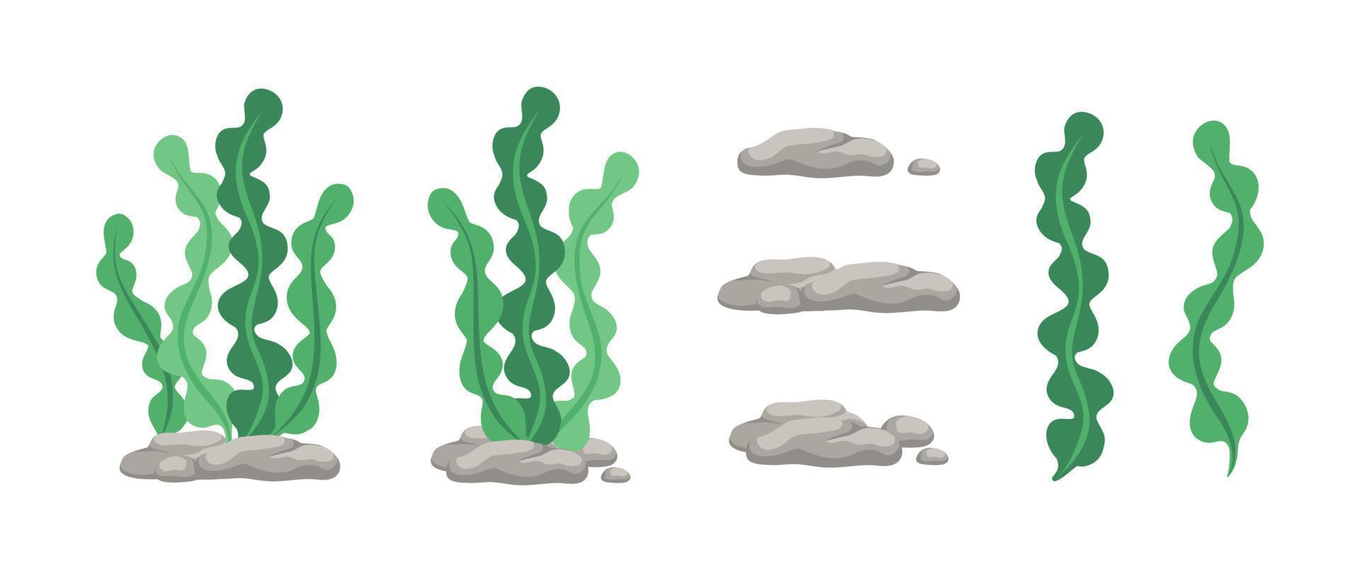 Vector designer elements set collection of green algae, sea grass, underwater seaweed plants and stones.