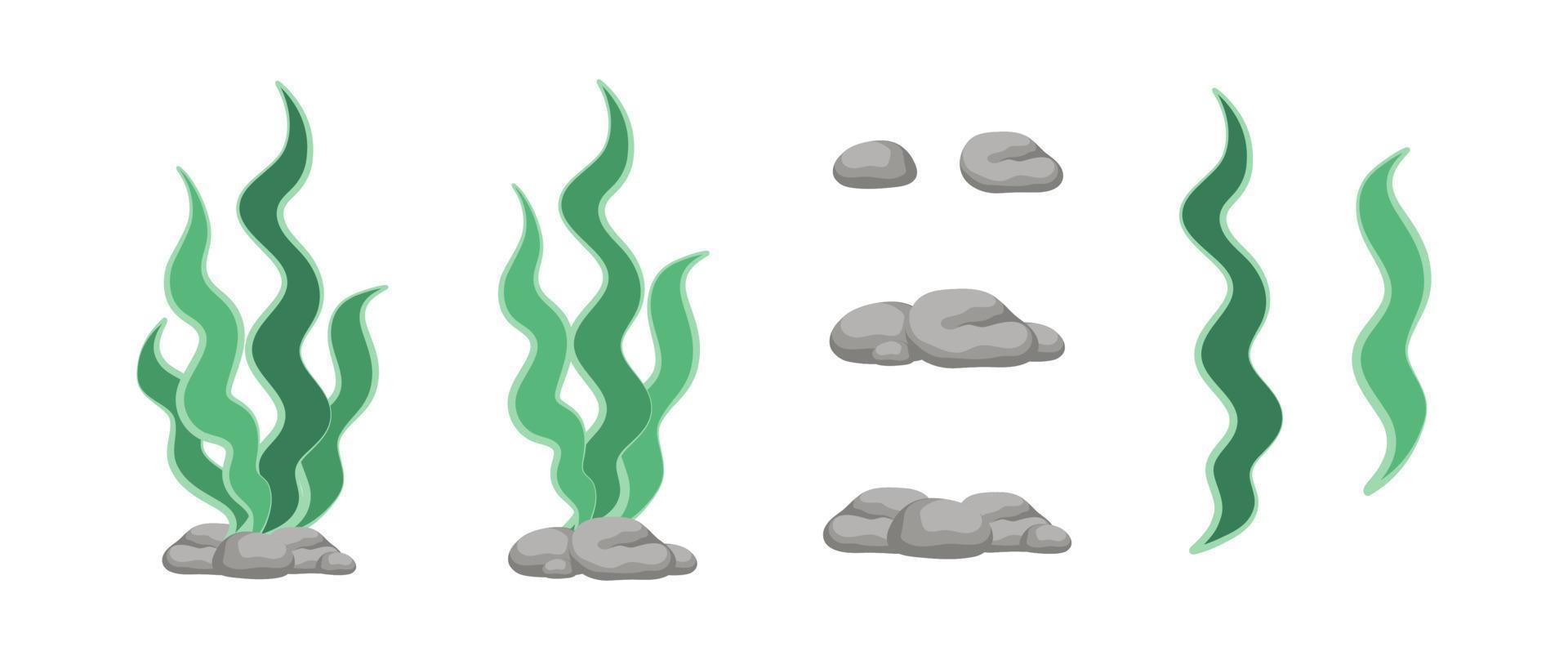 Vector designer elements set collection of green algae, sea grass, underwater seaweed plants and stones.