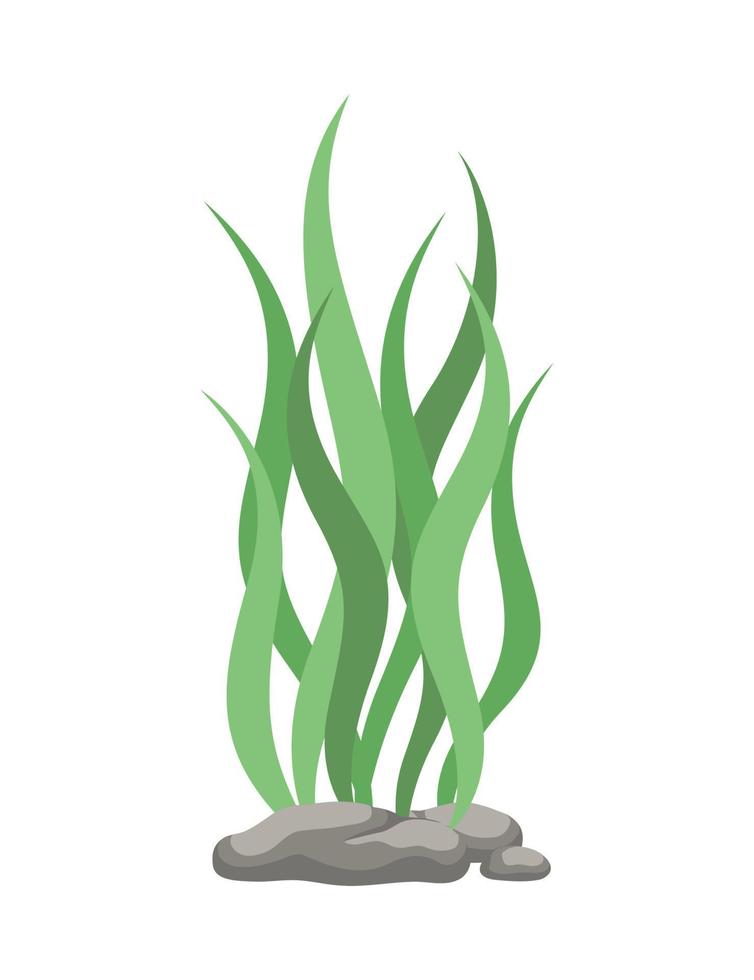Underwater Organism Algae Seaweed Doodle Vector. Organic Water Plant Illustration. vector